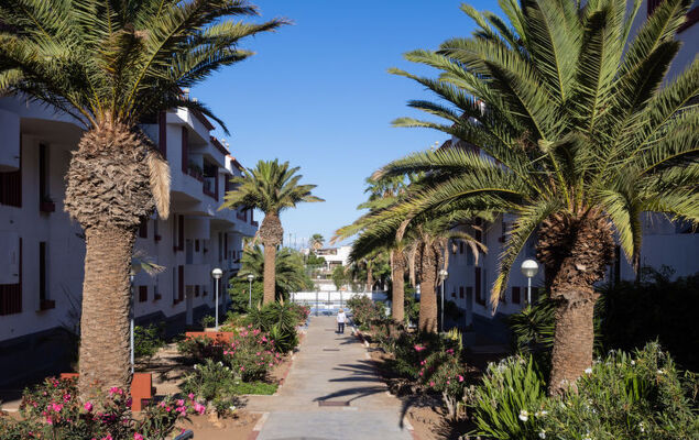 Comfy Altemar - Photo 30