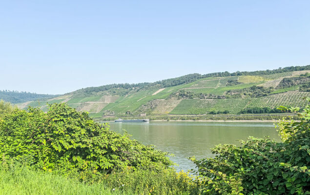 Tiny Haus Vierseenblick Nummer 2 - Photo 25